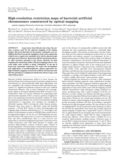 High-resolution restriction maps of bacterial artificial