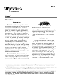 Moles - Manatee County Extension Office