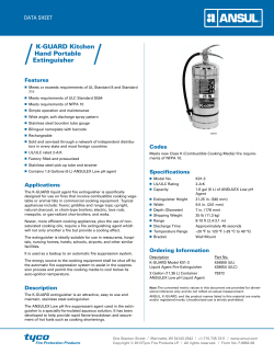 K-GUARD Kitchen Hand Portable Extinguisher