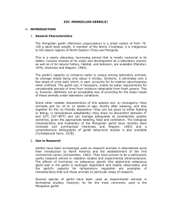 Guide to the Care and Use of Experimental Animals