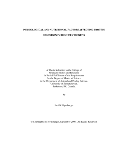 physiological and nutritional factors affecting protein