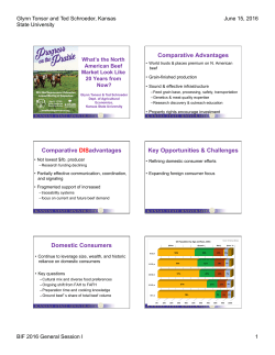 Comparative Advantages Comparative DISadvantages Key