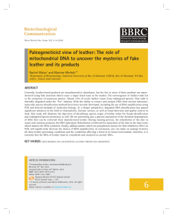 Paleogeneticist view of leather: The role of mitochondrial DNA to