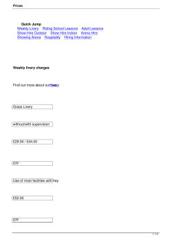 Quick Jump Weekly Livery Riding School Lessons Adult Lessons