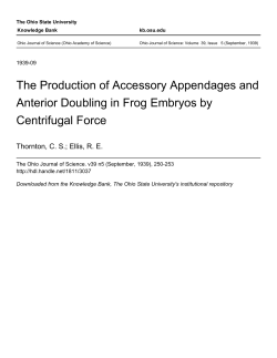 The Production of Accessory Appendages and