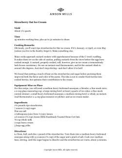 Strawberry Oat Ice Cream