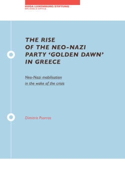 Untitled - Rosa Luxemburg Brussels