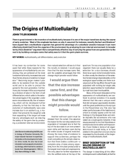 The origins of multicellularity
