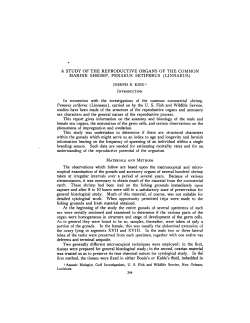 A STUDY OF THE REPRODUCTIVE ORGANS OF THE COMMON