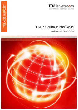 Sample sector report - FDI in Ceramics Glass.docx