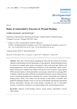 Roles of Antioxidative Enzymes in Wound Healing