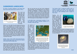 submerged landscapes