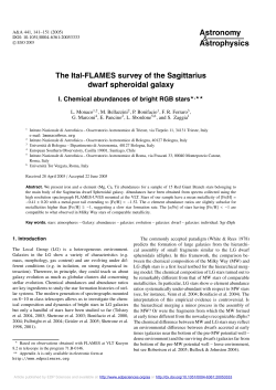 The Ital-FLAMES survey of the Sagittarius dwarf spheroidal galaxy