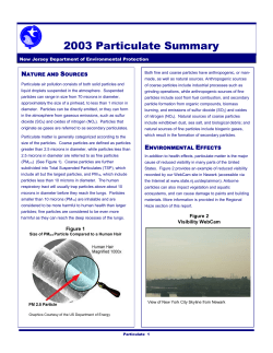 Particulate Summary