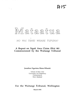 NO WA! TENE! WHARE TUPUNA?