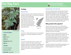 Level 2 - Ten day Fern - The Department of Environment and