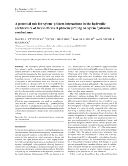 A potential role for xylem&ndash;phloem interactions in the hydraulic