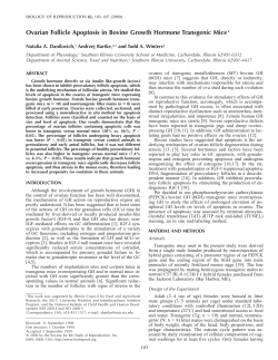 Ovarian Follicle Apoptosis in Bovine Growth Hormone Transgenic
