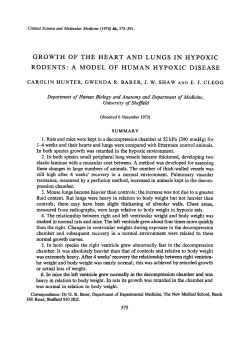 Growth of the Heart and Lungs in Hypoxic