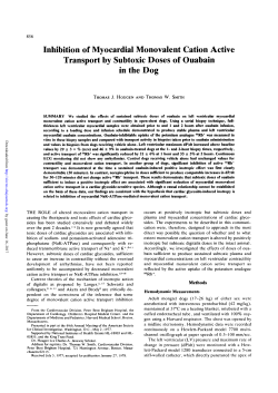 Inhibition of Myocardial Monovalent Cation Active Transport by