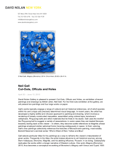 PDF - David Nolan Gallery