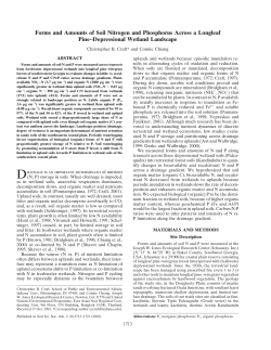 Forms and Amounts of Soil Nitrogen and Phosphorus Across a