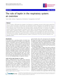 The role of leptin in the respiratory system: an overview | SpringerLink