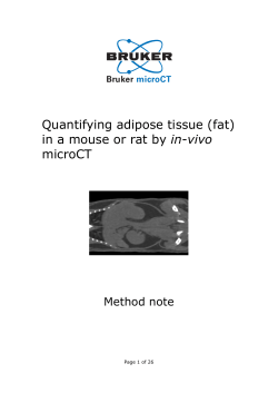 Method note: Adipose tissue quantification in vivo