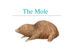 2 - Byron High School