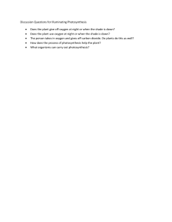 Discussion Questions for Illuminating Photosynthesis &bull; Does the