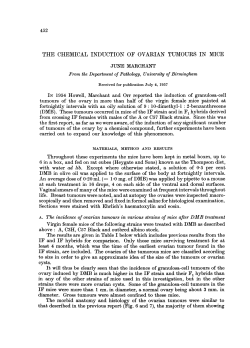 the chemical induction of ovarian tumours inmice