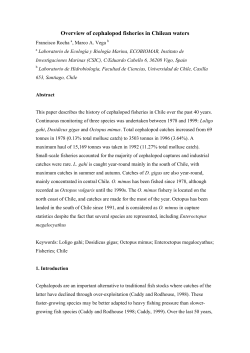 Overview of cephalopod fisheries in Chilean waters