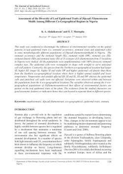 Assessment of the Diversity of Leaf Epidermal Traits of Dipcadi