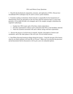 DNA and Mitosis Essay Questions 1. Describe the biochemical