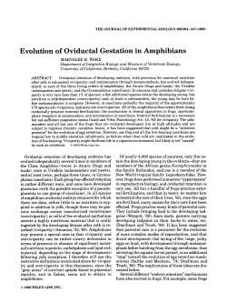 Evolution of oviductal gestation in amphibians