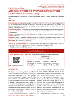 a study on histogenesis of thymus gland in fetuses