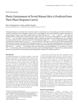 PDF - Journal of Neuroscience