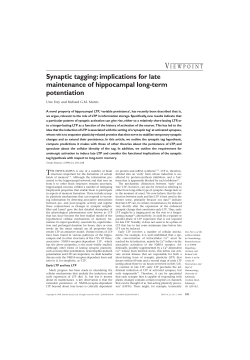 Synaptic tagging: implications for late maintenance of hippocampal