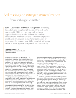Soil testing and nitrogen mineralization