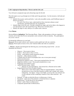 LAB: Angiosperm Reproduction: Flowers and the Life cycle You will