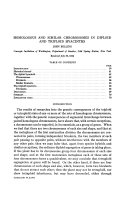 HOMOLOGOUS AND SIMILAR CHROMOSOMES IN