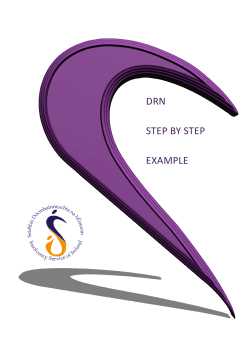 DRN step by step example - Insolvency Service of Ireland
