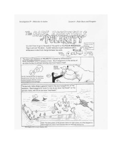 The Bear Essentials of Polarity