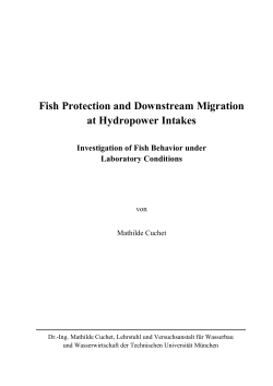 Fish Protection and Downstream Migration at Hydropower Intakes