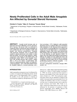 Newly proliferated cells in the adult male amygdala are affected by