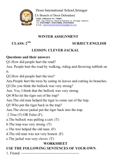 class 2nd winter assignment - Doon International School Srinagar