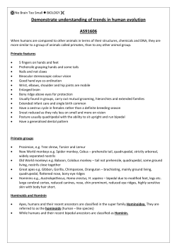 Demonstrate understanding of trends in human evolution AS91606