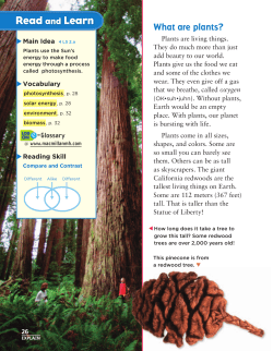 Chapter 1: Living Things Need Energy