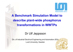 A Benchmark Simulation Model to describe plant