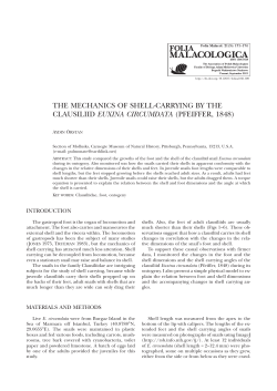 Full text () - Folia Malacologica